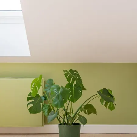 Apartment New Flat With Free Underground Parking And Air Conditioning Riga