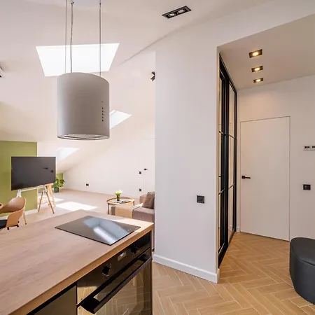 New Flat With Free Underground Parking And Air Conditioning Apartment
