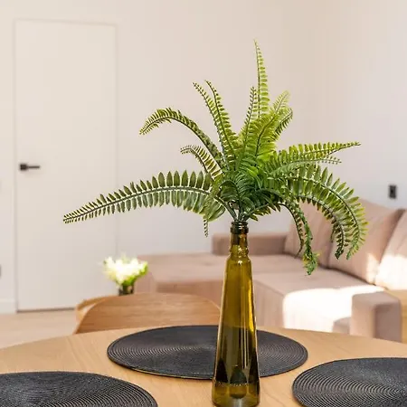 Apartment New Flat With Free Underground Parking And Air Conditioning